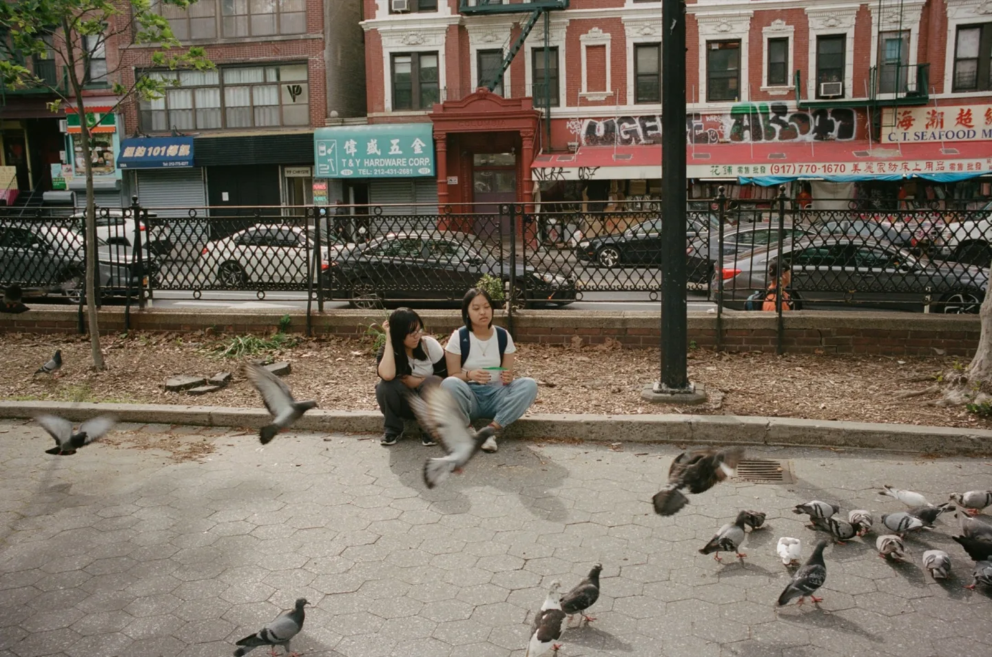 Street 13 - Michael Afonso