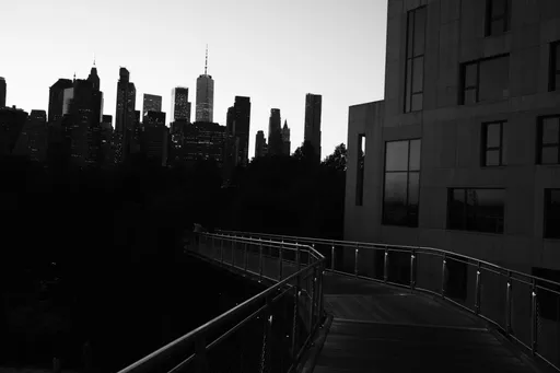 Street 16 - Michael Afonso